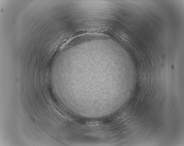 X0000053060499200508081158