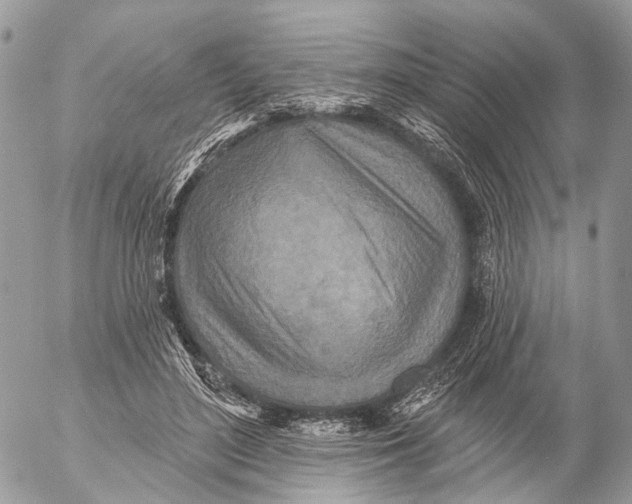 X0000053060500200508081158