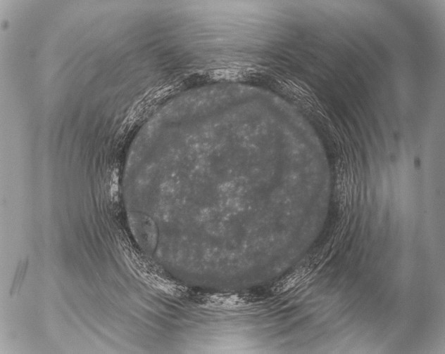 X0000053060502200508081157