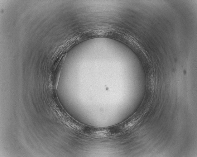 X0000053060505200508081157