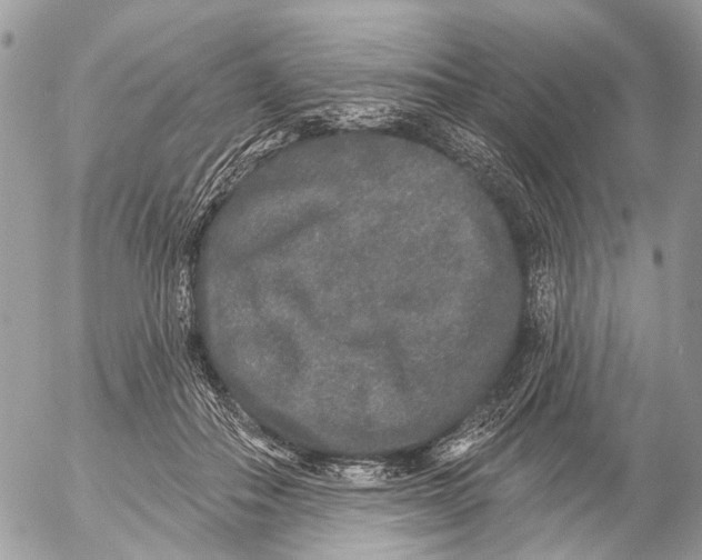 X0000053060506200508081157