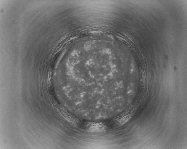 X0000053060507200508081157