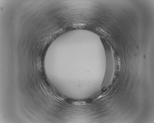 X0000053060508200508081157