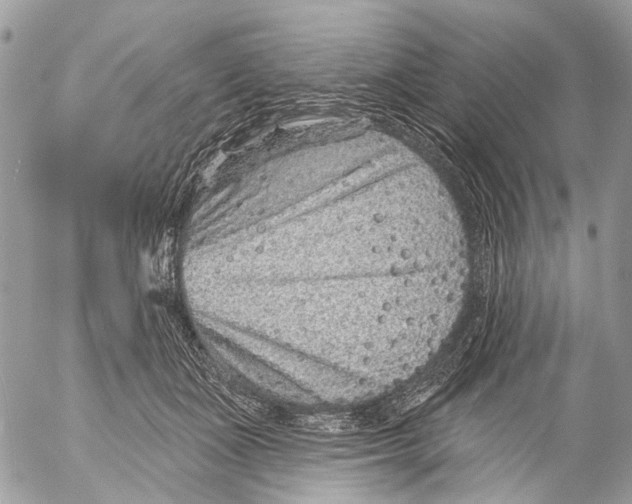 X0000053060511200508081157