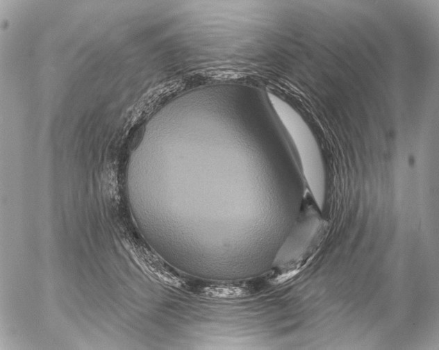 X0000053060512200508081157