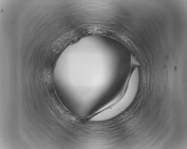 X0000053060513200508081157