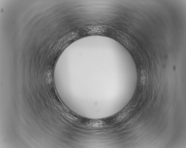 X0000053060514200508081157