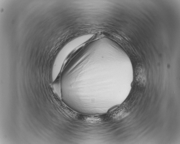 X0000053060515200508081157