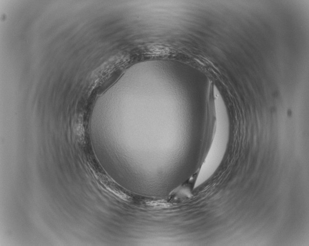 X0000053060516200508081157