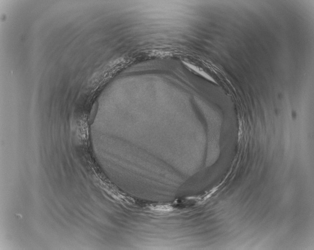 X0000053060517200508081157