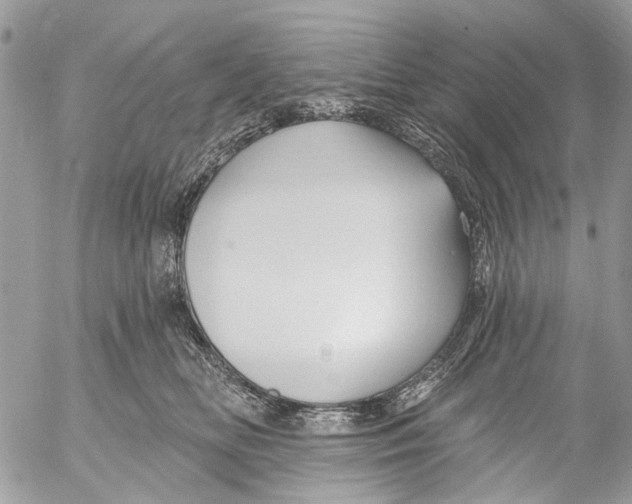 X0000053060518200508081157