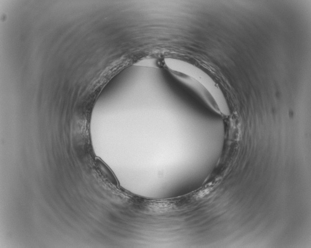 X0000053060521200508081157