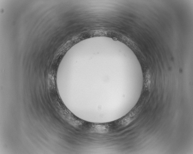 X0000053060522200508081157