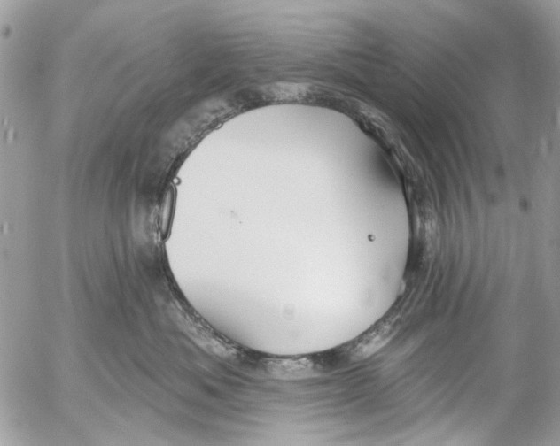 X0000053060525200508081157