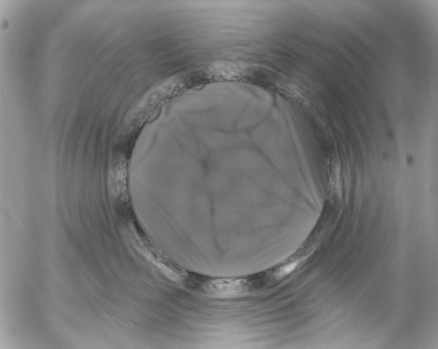 X0000053060526200508081157