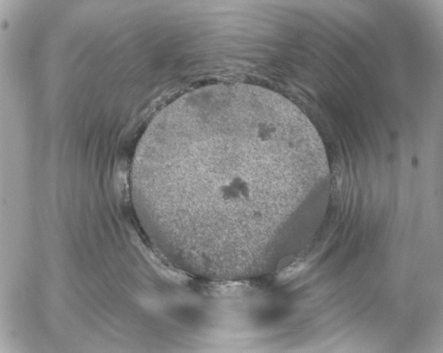 X0000053060527200508081157