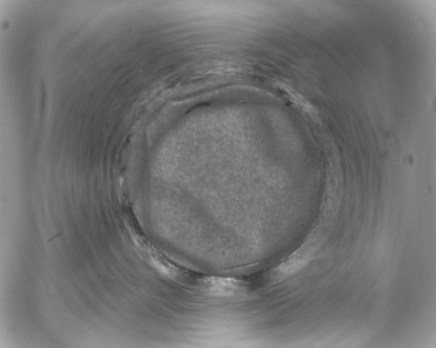 X0000053060528200508081157