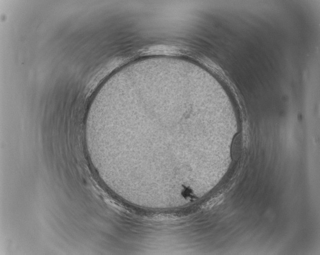 X0000053060529200508081156