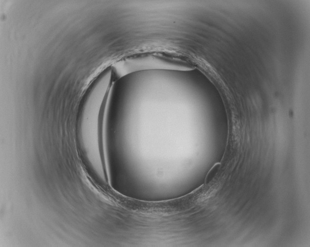 X0000053060530200508081156