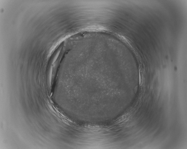 X0000053060531200508081156