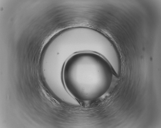 X0000053060532200508081156