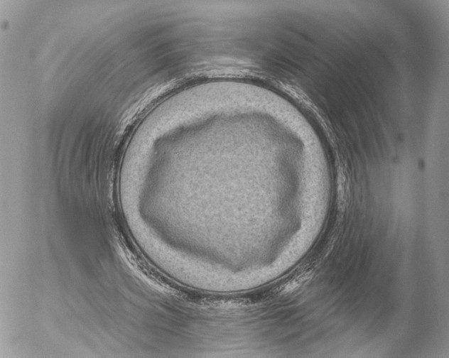 X0000053060533200508081156