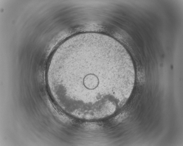 X0000053060534200508081156