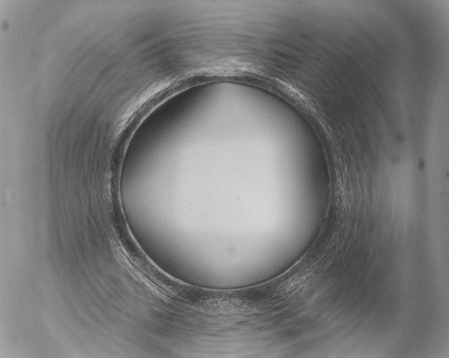 X0000053060535200508081156