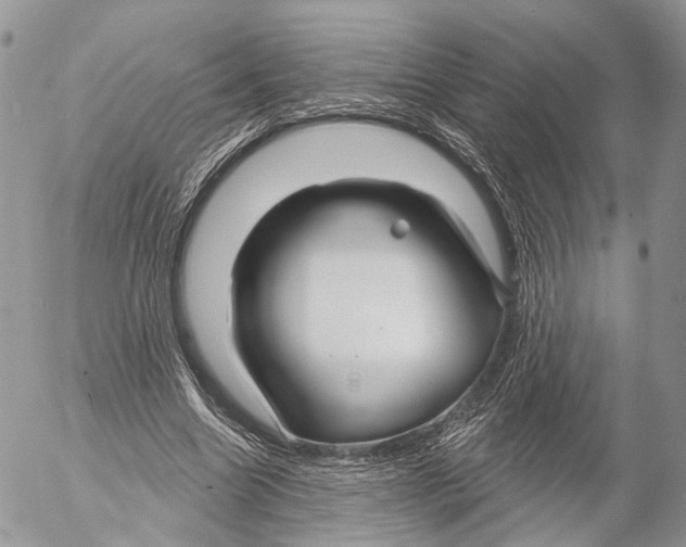 X0000053060538200508081156