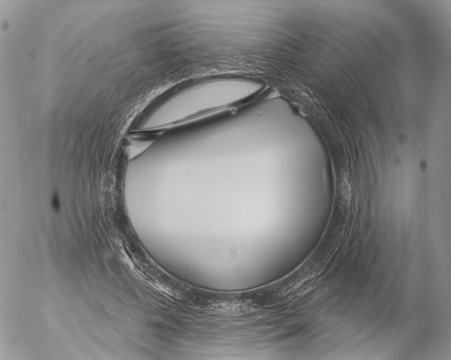 X0000053060540200508081156