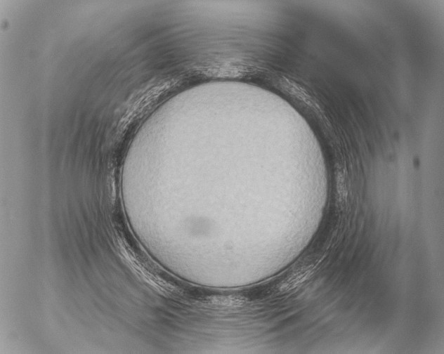 X0000053060541200508081156