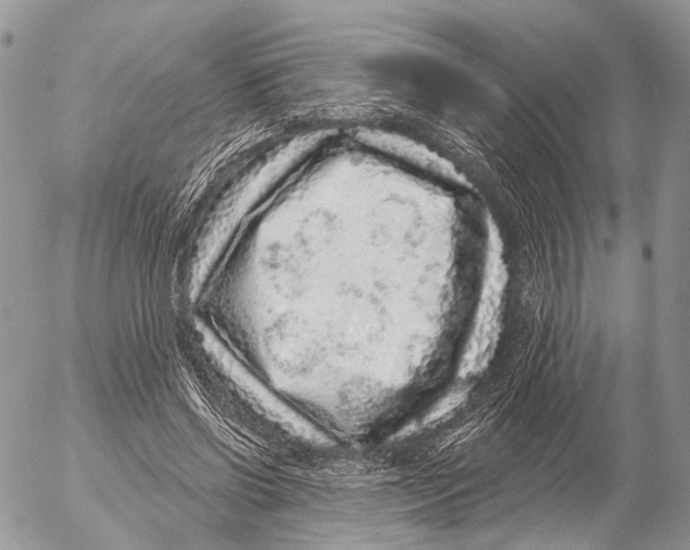 X0000053060542200508081156