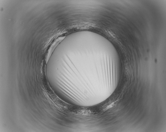 X0000053060543200508081156