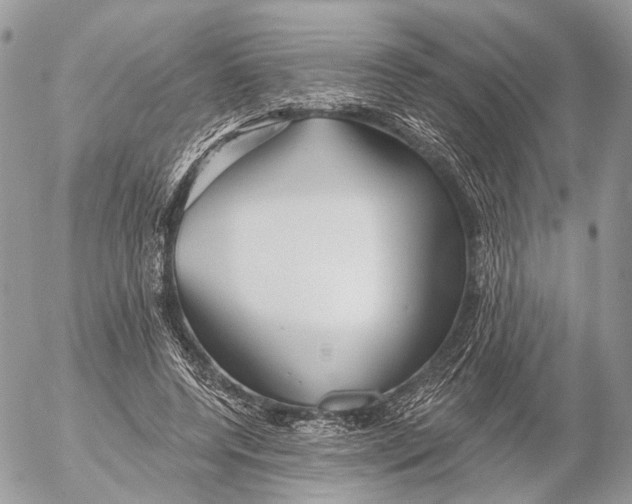 X0000053060544200508081157