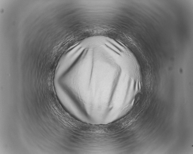 X0000053060545200508081157