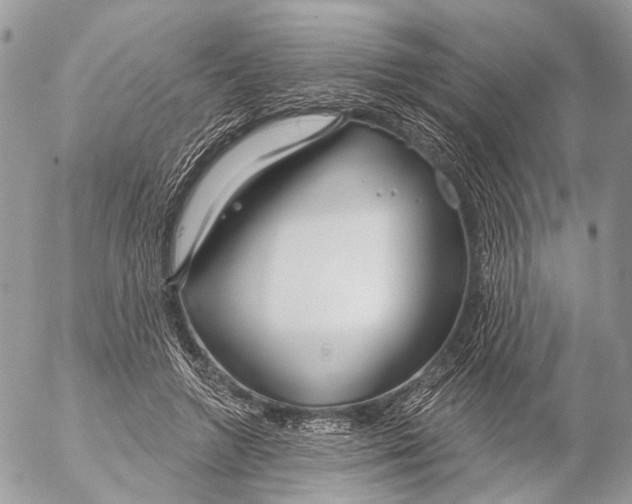 X0000053060546200508081157