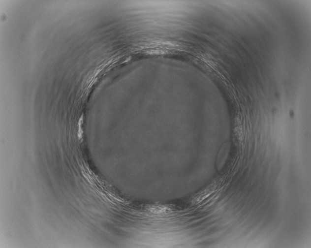 X0000053060547200508081157