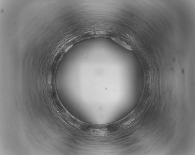 X0000053060548200508081157