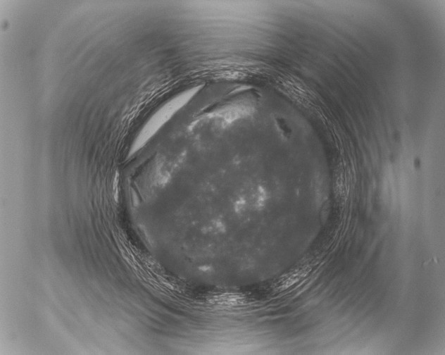 X0000053060551200508081157