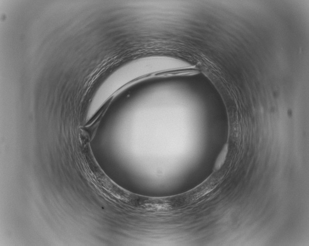 X0000053060552200508081157