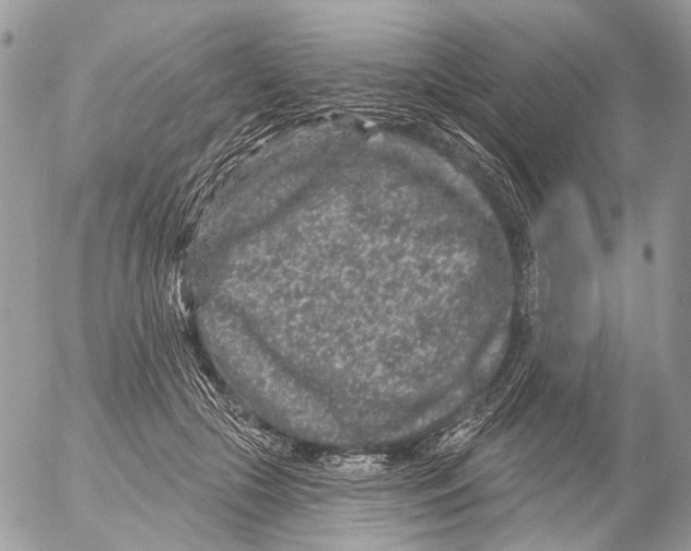 X0000053060553200508081157