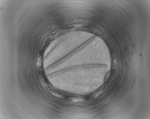 X0000053060555200508081157