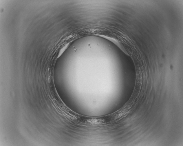 X0000053060558200508081157