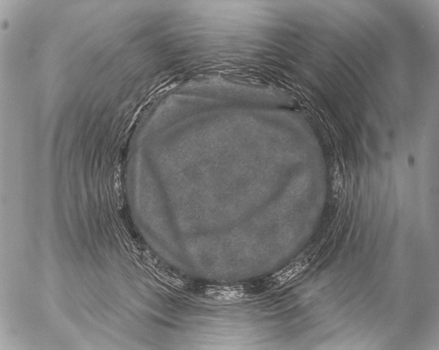 X0000053060559200508081157