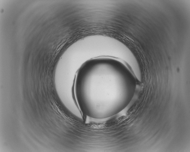 X0000053060560200508081157