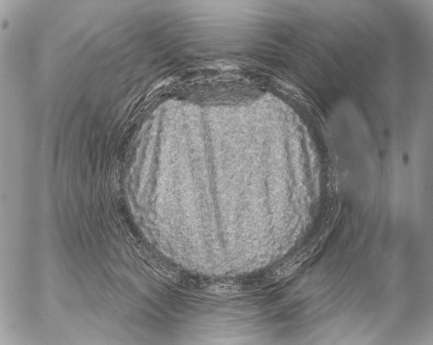 X0000053060561200508081157