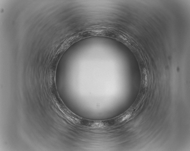 X0000053060562200508081157