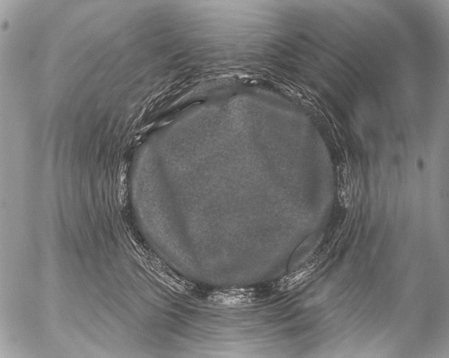 X0000053060563200508081157