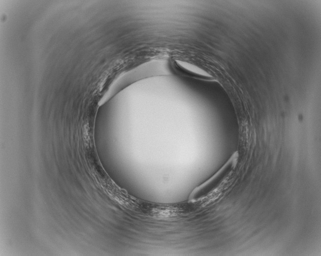 X0000053060564200508081157