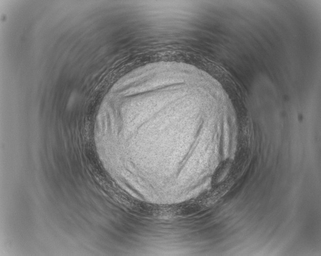 X0000053060565200508081157